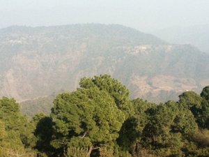 THE MORNI RESORT (AU$45): 2024 Prices & Reviews (Morni Hills, India ...