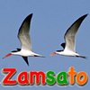 Zamsato - Zambia Safaris & Adventours.
