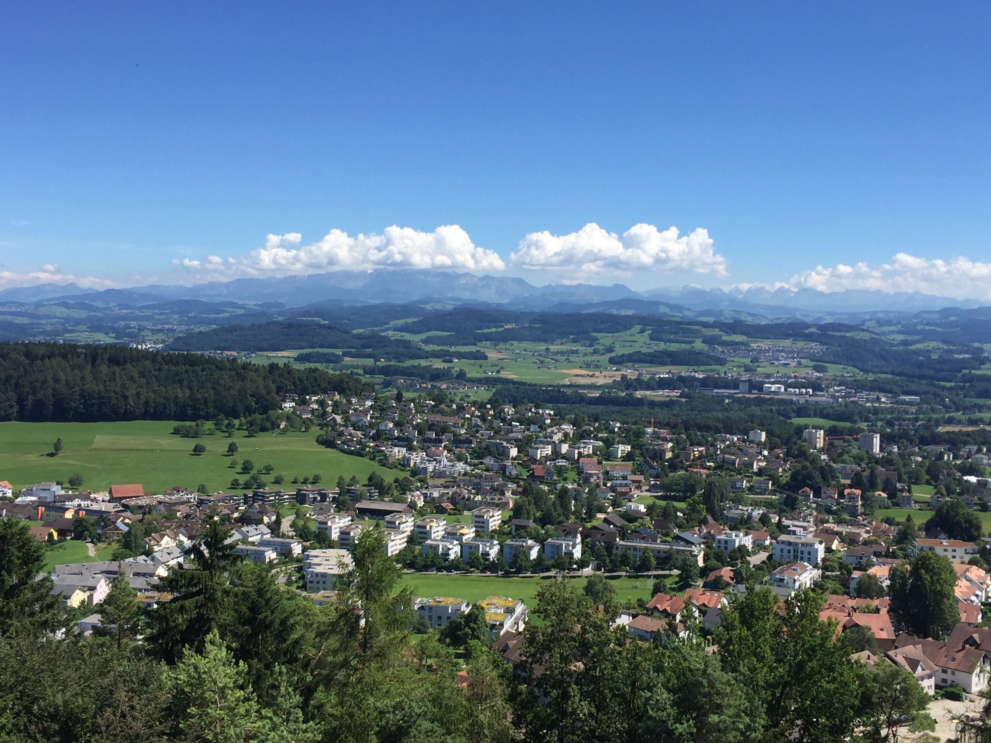 B&B SWITZERLAND: Reviews (Wil) - Photos Of B&B - Tripadvisor