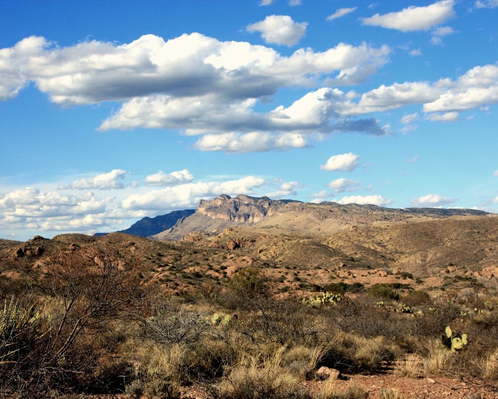 THE 15 BEST Things to Do in Willcox (2024) - Must-See Attractions