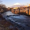 Things To Do in Mt Fuji and Hakone 1-Day Bus Tour return by Bullet Train (Shinkansen), Restaurants in Mt Fuji and Hakone 1-Day Bus Tour return by Bullet Train (Shinkansen)