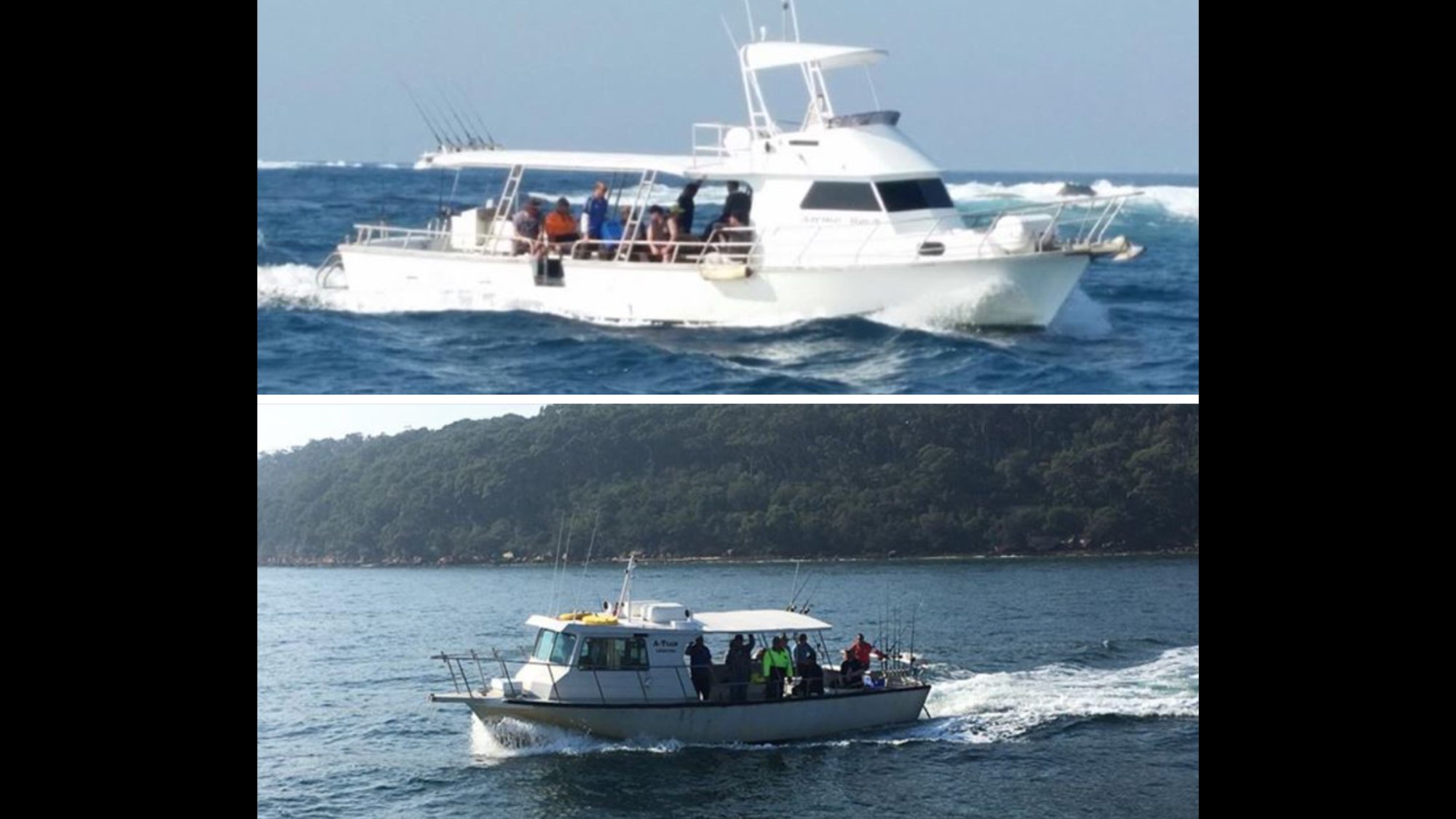 Balmain fishing discount charters