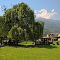 il giardino