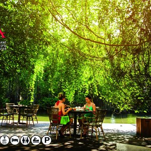 Nature-Friendly Dining Area 
