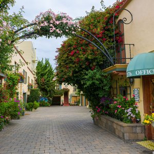 Front Driveway / Courtyard