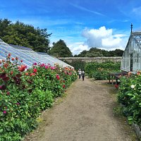 Clovelly Court Gardens