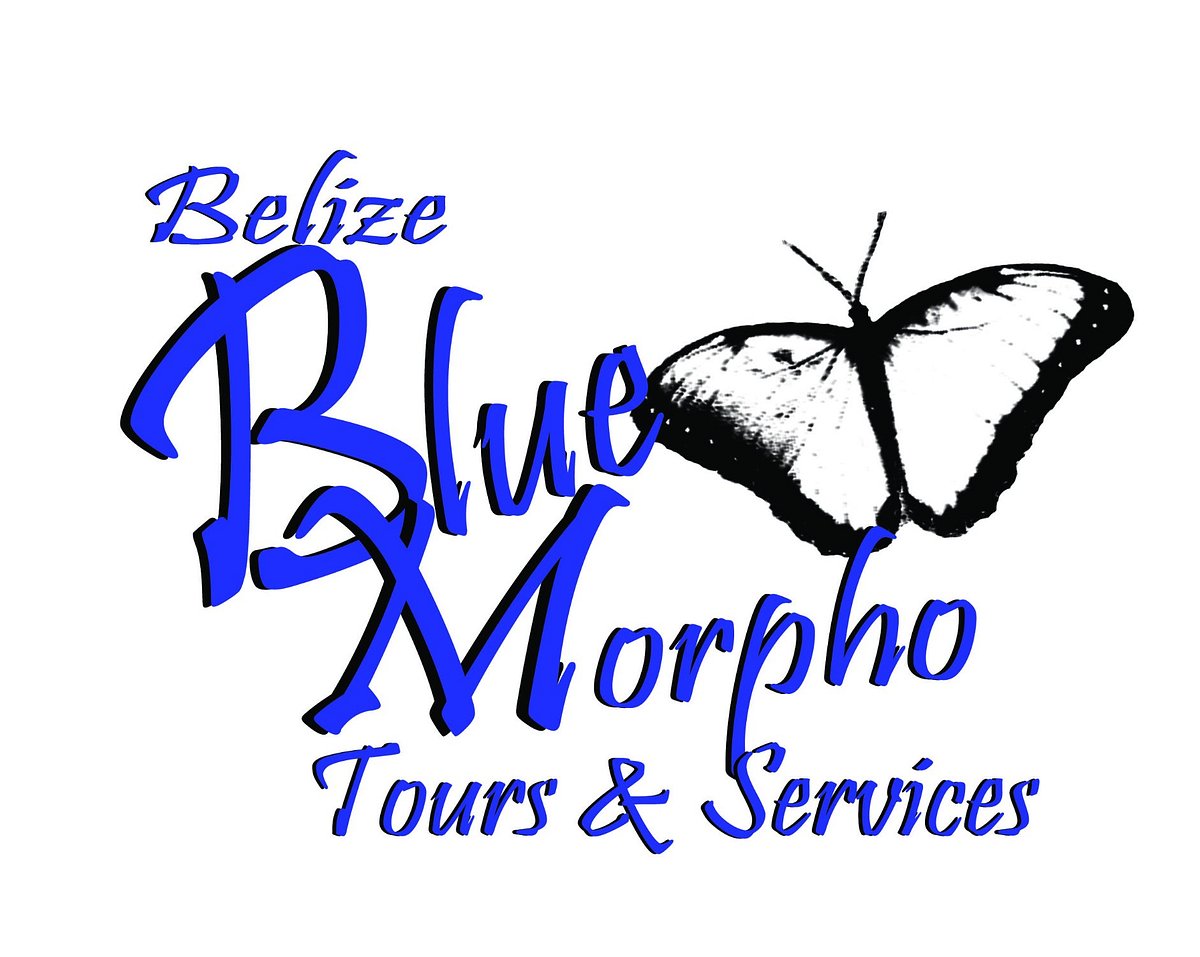 belize blue morpho tours and services