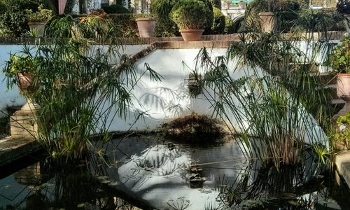 Pretty garden and great views