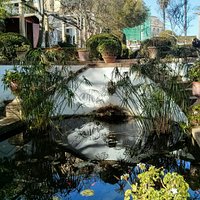 Pretty garden and great views