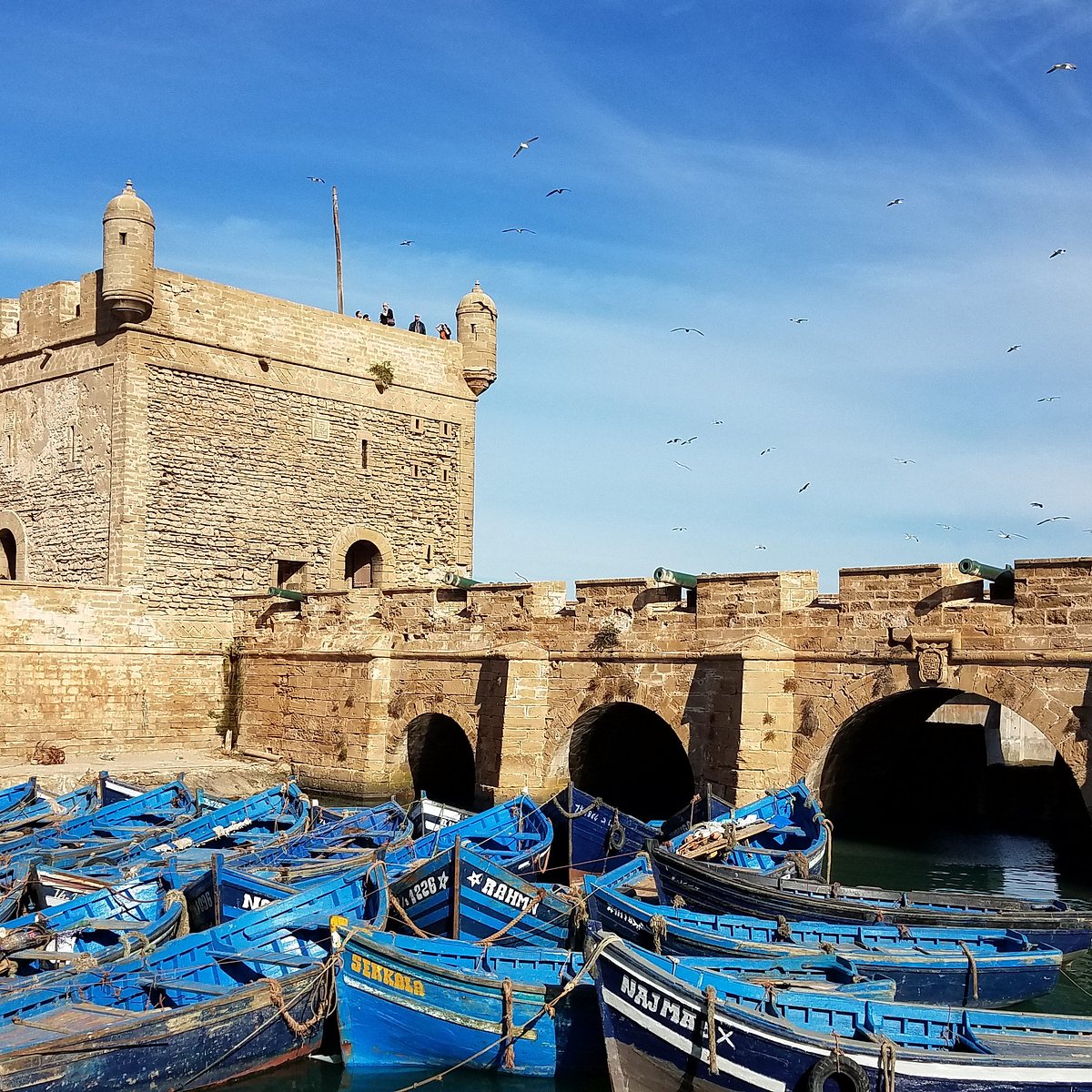 زيارة ميناء الصويرة