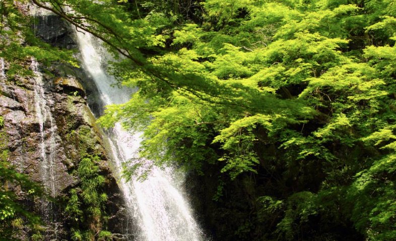 Waterfall of Mino (美浓市) - 旅游景点点评- Tripadvisor