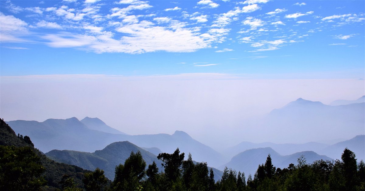 7 Kodaikanal Monsoon Treks: The Ultimate Guide for Adventure Enthusiasts from the view point