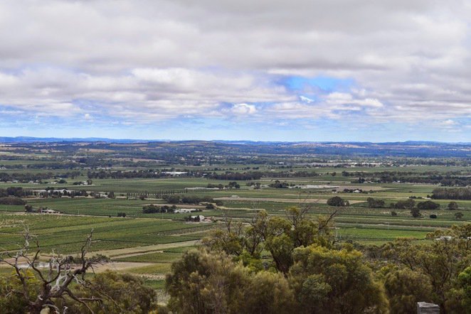 Barossa Scenic Heritage Drive 4 - All You Need to Know BEFORE You Go (2024)