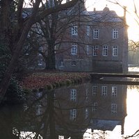 Het kasteel verstopt achter de bomen