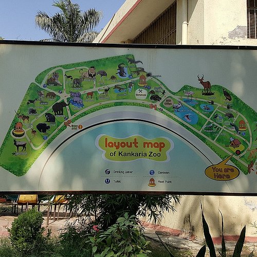 Top 6 Zoos & Aquariums in Gujarat, India