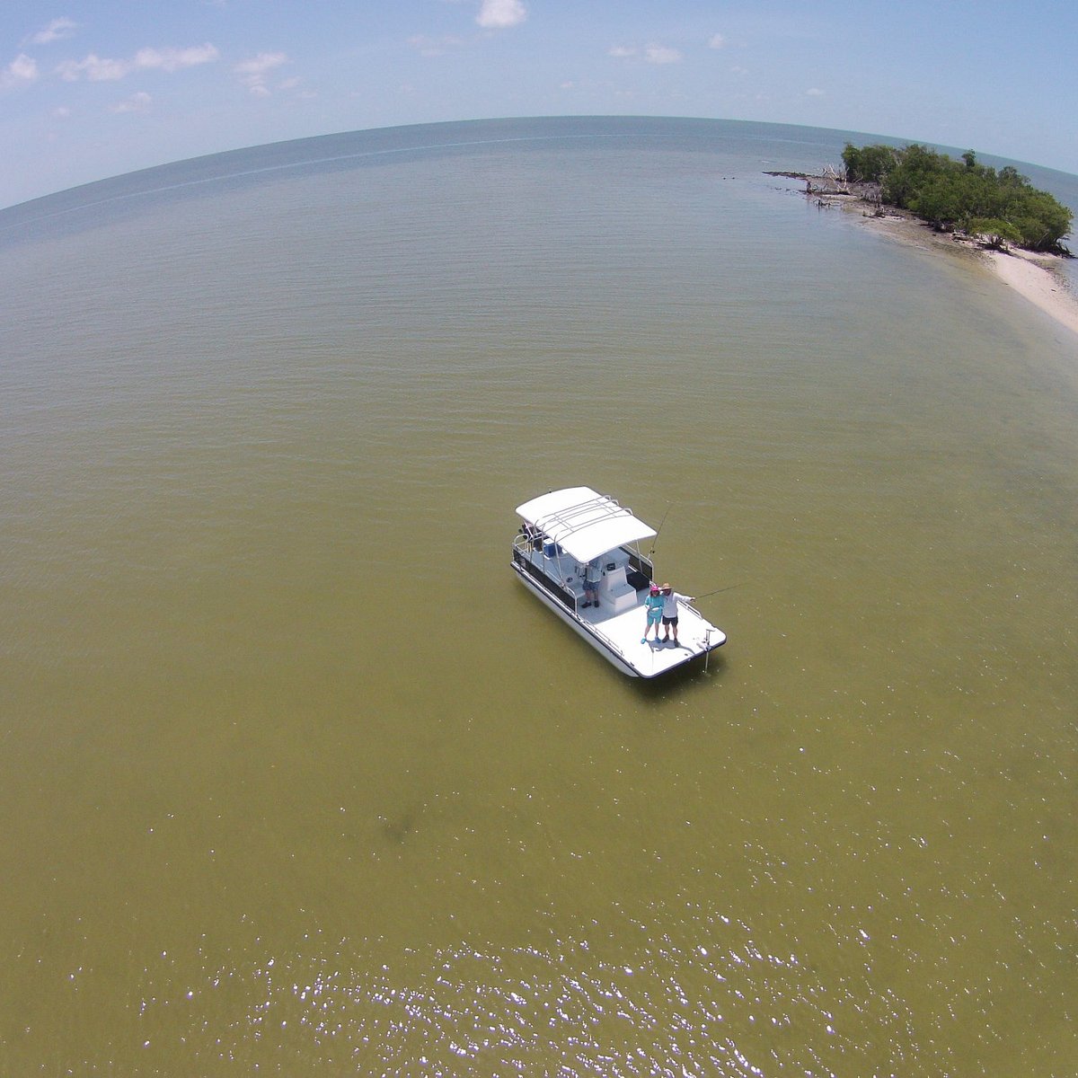 FLORIDA EVERGLADES CHARTER ADVENTURES (Napoli) Tutto quello che c'è da