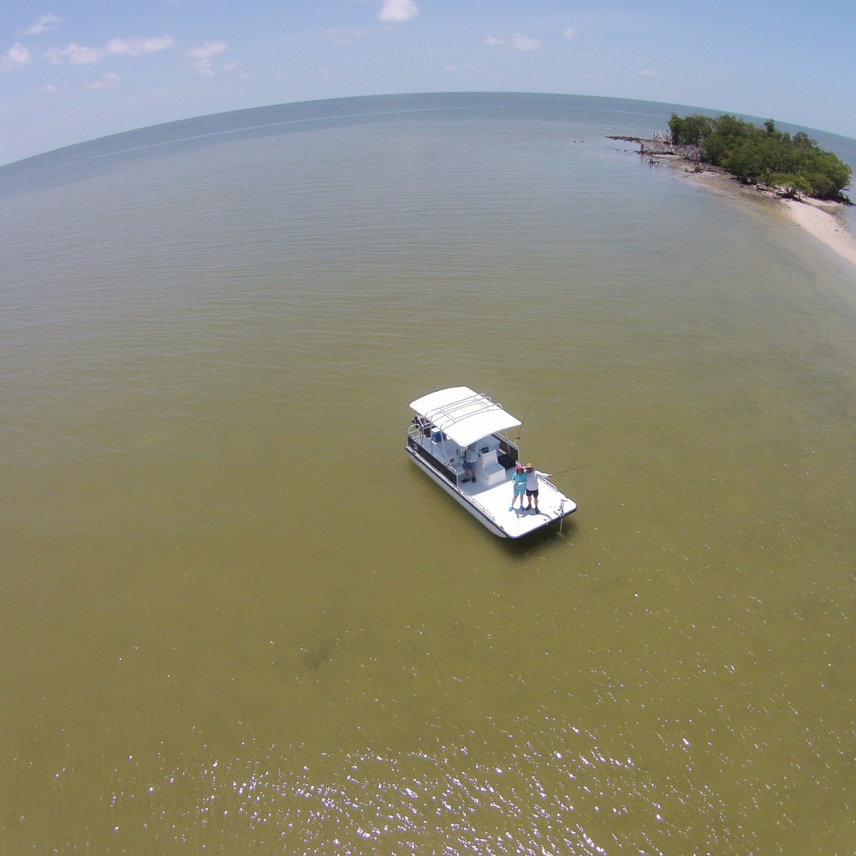 FLORIDA EVERGLADES CHARTER ADVENTURES (Napoli) Tutto quello che c'è da