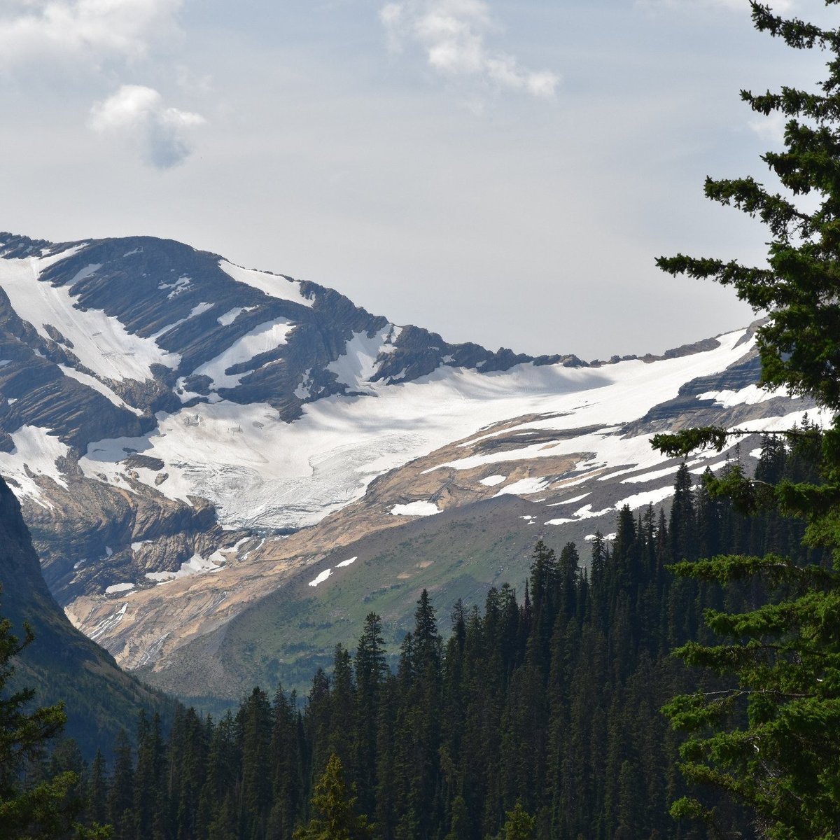 Jackson Glacier Overlook (Glacier National Park) - All You Need to Know ...