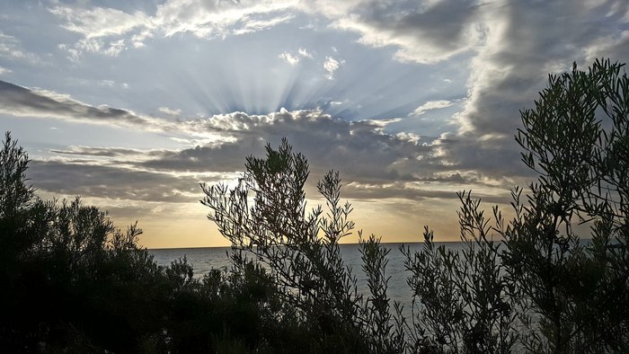 Imagen 9 de Parque Nacional La Caleta