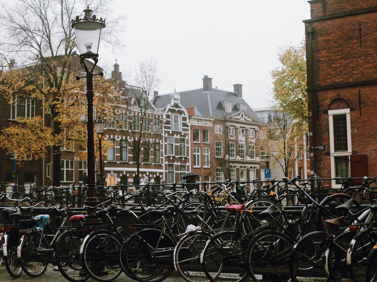 babylon tours amsterdam