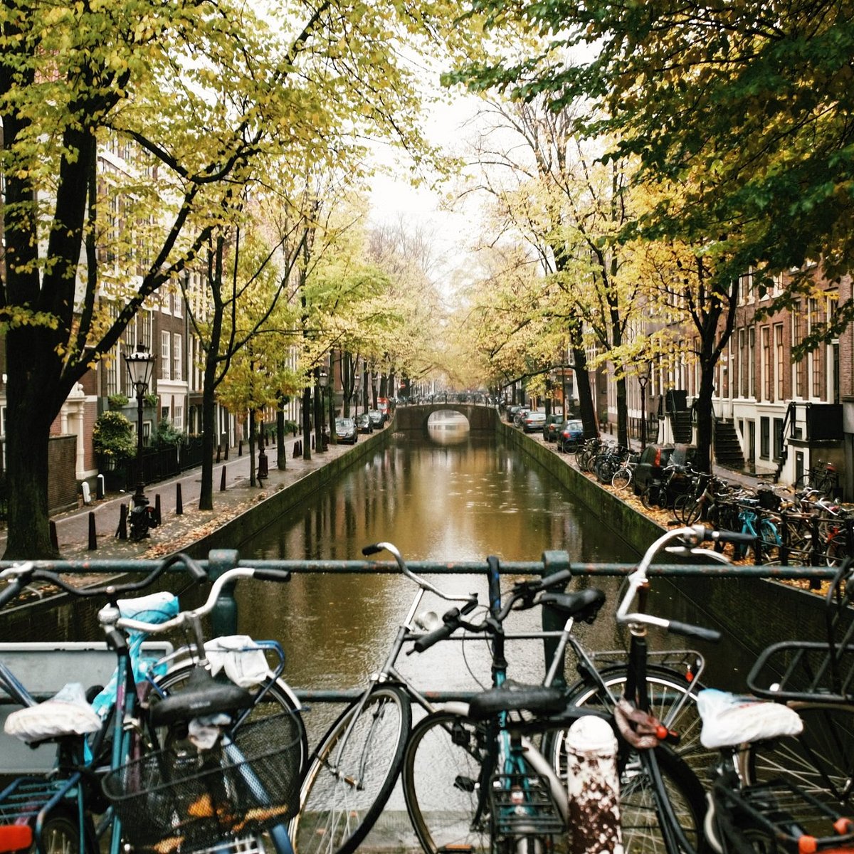 https://dynamic-media-cdn.tripadvisor.com/media/photo-o/0e/13/3e/da/amsterdam-historical.jpg?w=1200&h=1200&s=1