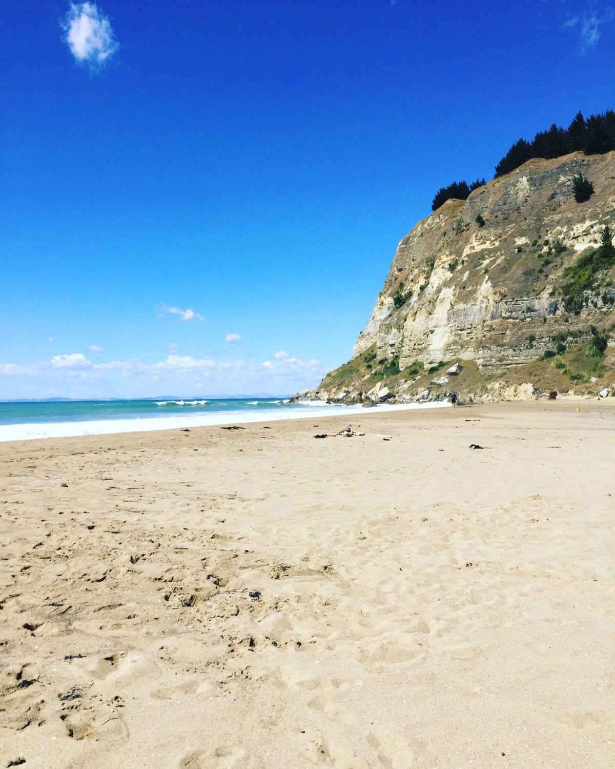 Waipatiki Beach Holiday Park Beach: Pictures & Reviews - Tripadvisor