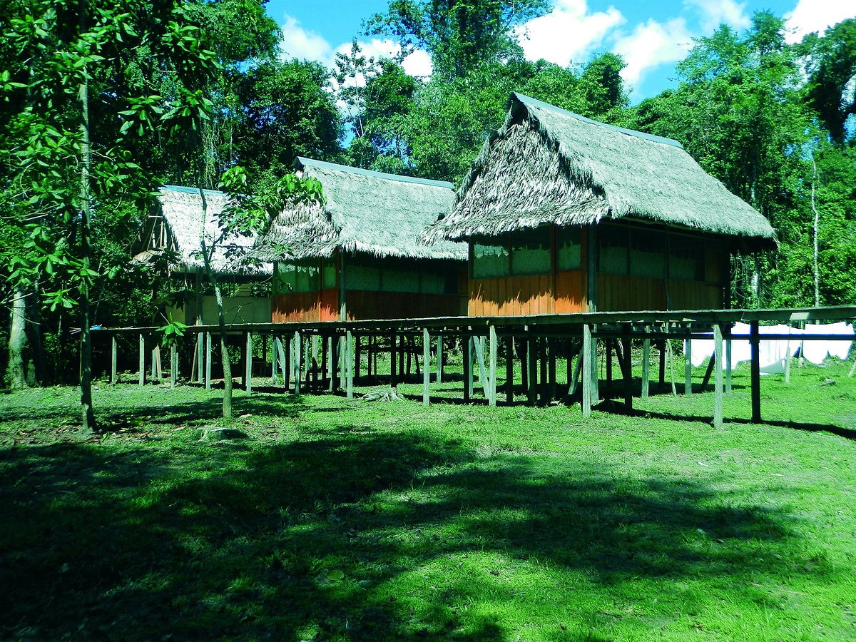 Eco tours. Амазон эко. Treehouse Lodge Iquitos PERUTHE Amazon.