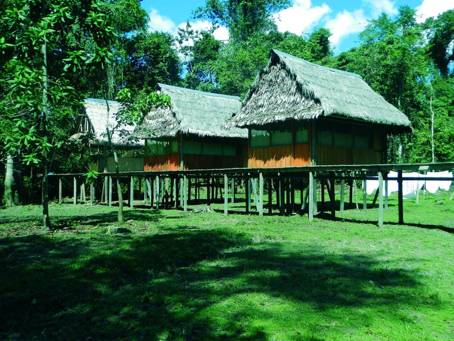 AMAZON ECO TOURS & LODGE - Prices & Reviews (Nauta, Peru) - Tripadvisor