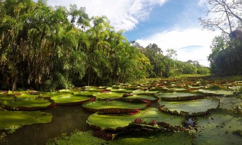 ECOLOGICAL JUNGLE TRIPS (NAUTA, PERU): 329 fotos, comparação de preços e  avaliações - Tripadvisor