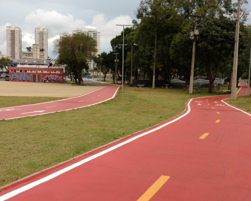 Corrida de carro - Avaliações de viajantes - Autódromo José Carlos Pace -  Tripadvisor