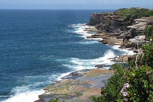 Tourisme A Bondi 21 Visiter Bondi Australie Tripadvisor