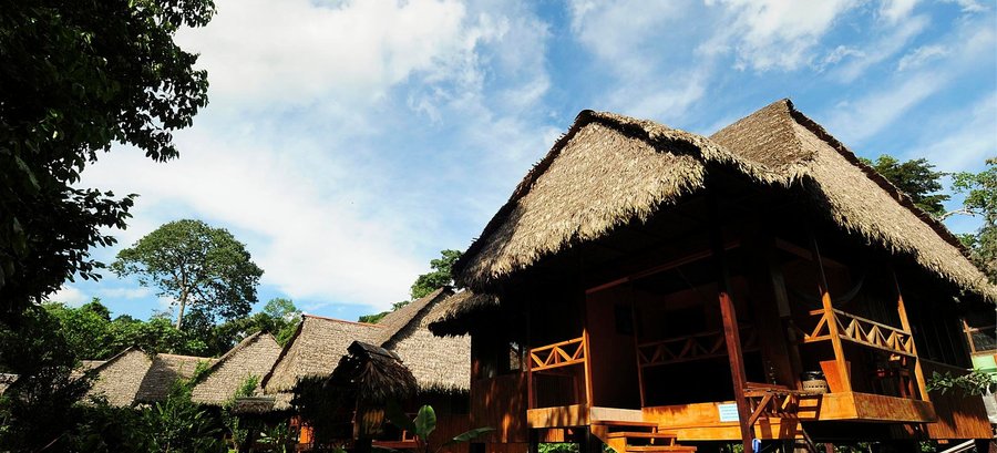 TAMBOPATA ECOLODGE - Updated 2021 Prices & Lodge Reviews (Peru ...