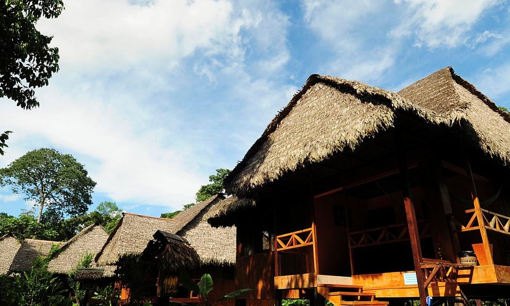 TAMBOPATA ECOLODGE - Prices & Lodge Reviews (Peru/Tambopata National ...