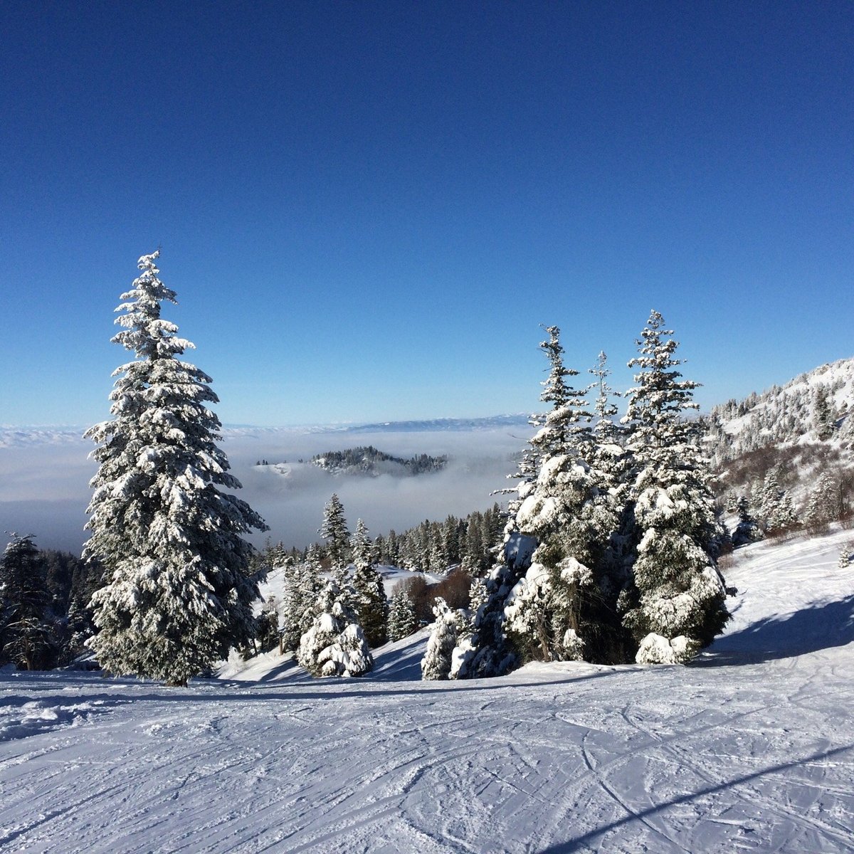 Bogus Basin Mountain Recreation Area - Boise - Bogus Basin Mountain ...