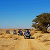 Things To Do in Desert Ride, Restaurants in Desert Ride