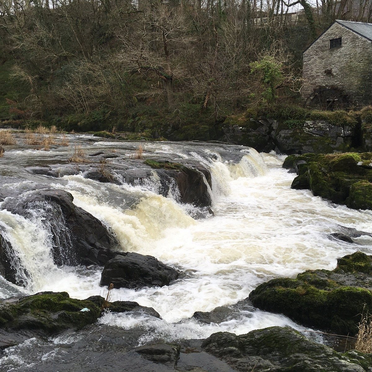 CENARTH FALLS - All You Need to Know BEFORE You Go