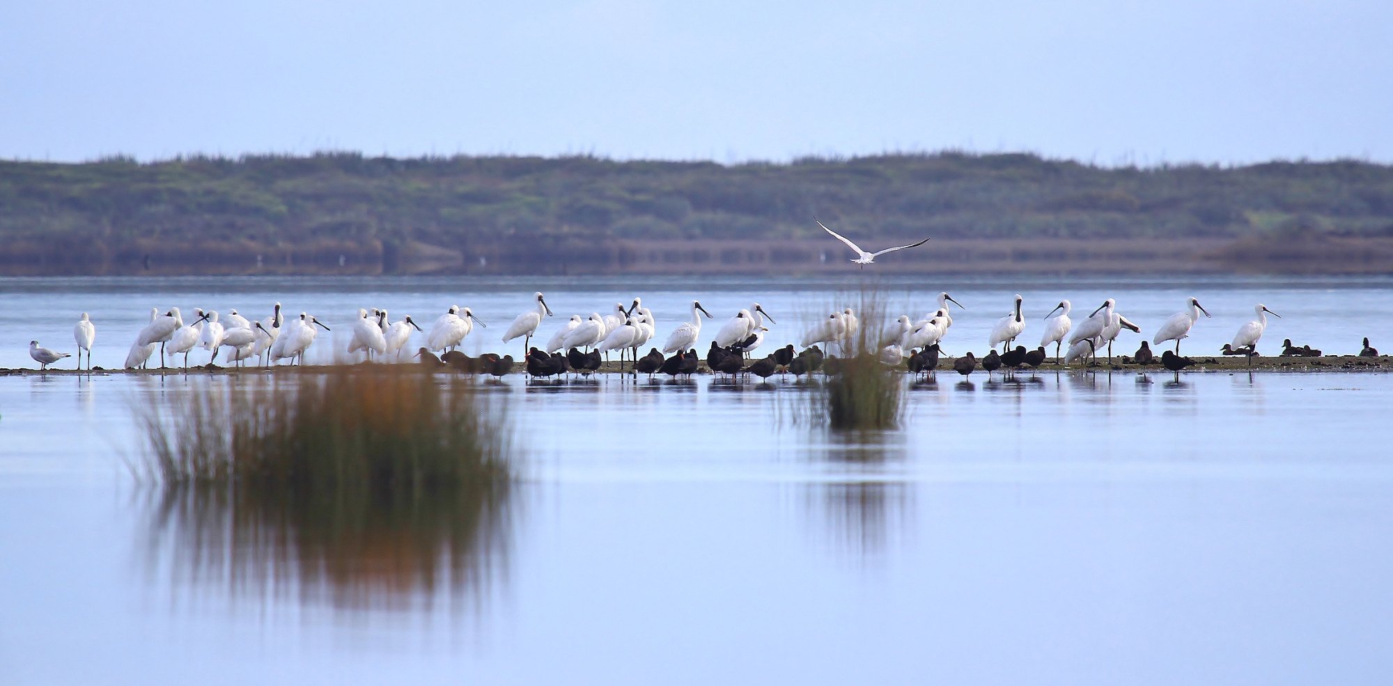 Okarito Boat Tours - All You Need to Know BEFORE You Go