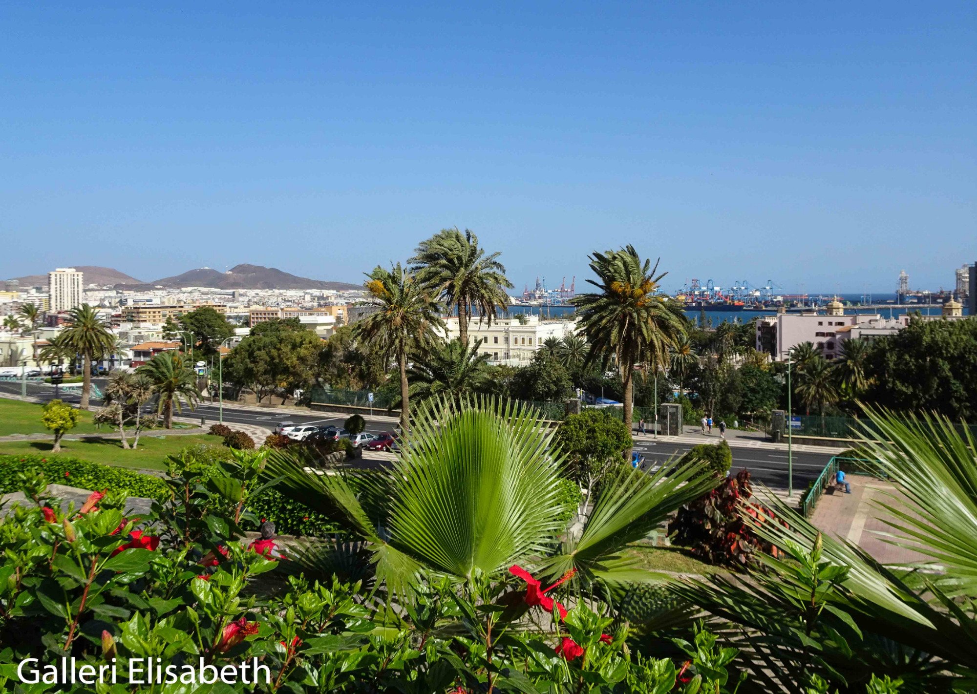 PARQUE DORAMAS (Las Palmas De Gran Canaria) - Qué SABER Antes De Ir