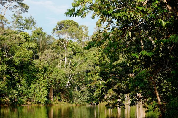 ECOLOGICAL JUNGLE TRIPS (NAUTA, PERU): 329 fotos, comparação de preços e  avaliações - Tripadvisor