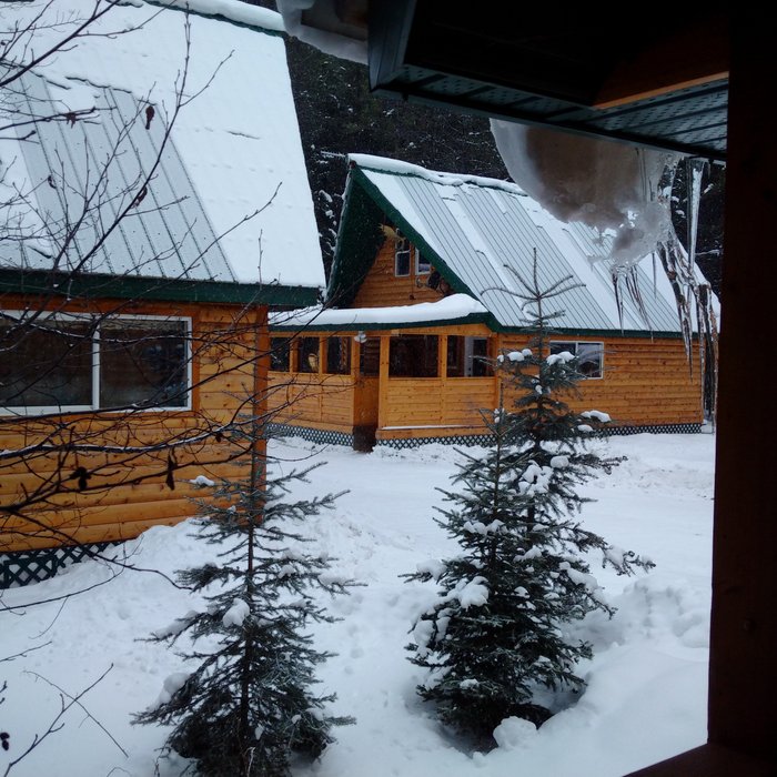 WILLOW BURL CABINS - Valemount Campground Reviews