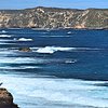 Things To Do in Coffin Bay National Park, Restaurants in Coffin Bay National Park