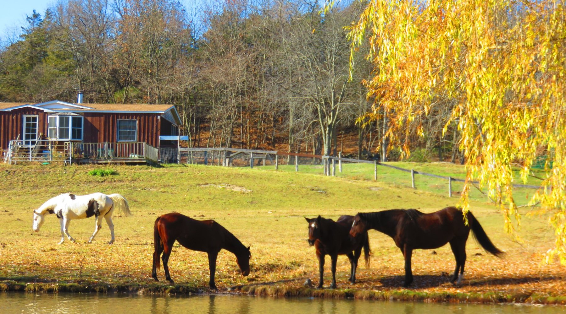 Catskill Animal Sanctuary (2025) - All You Need to Know BEFORE You Go