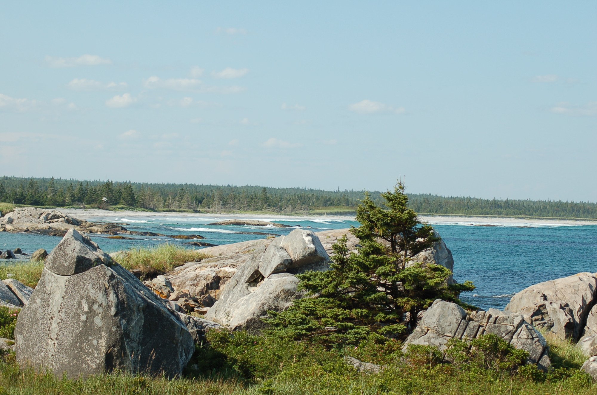 Kejimkujik National Park Seaside (Port Joli) - 2021 All You Need To ...