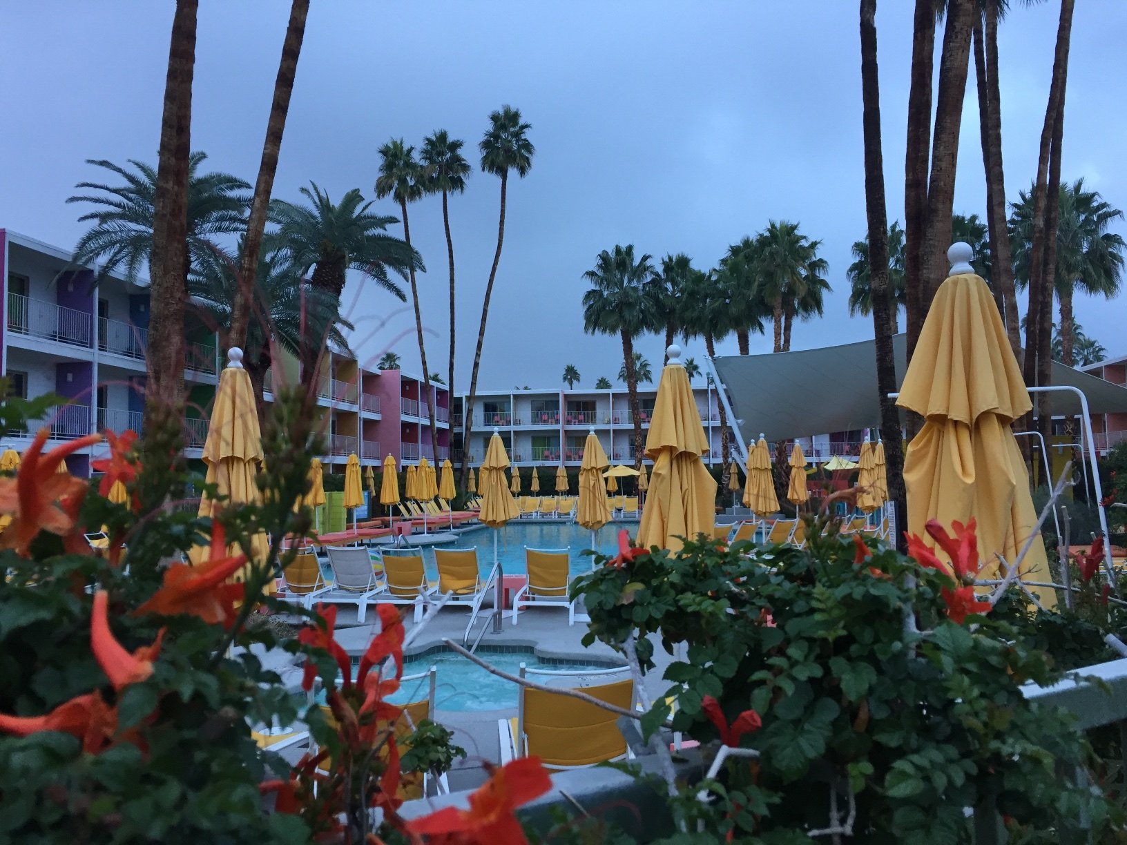 Hotel photo 102 of The Saguaro Palm Springs.
