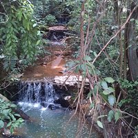 Riacho que cerca o Bosque