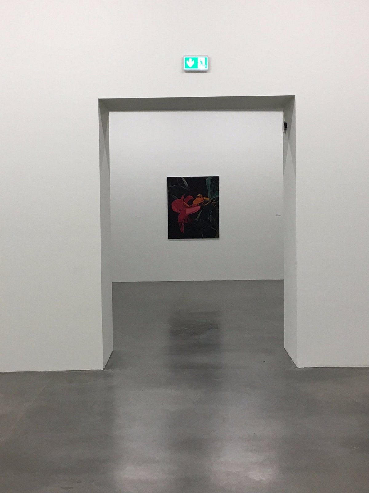 KINDL – Center for Contemporary Art - Licht Kunst Licht AG