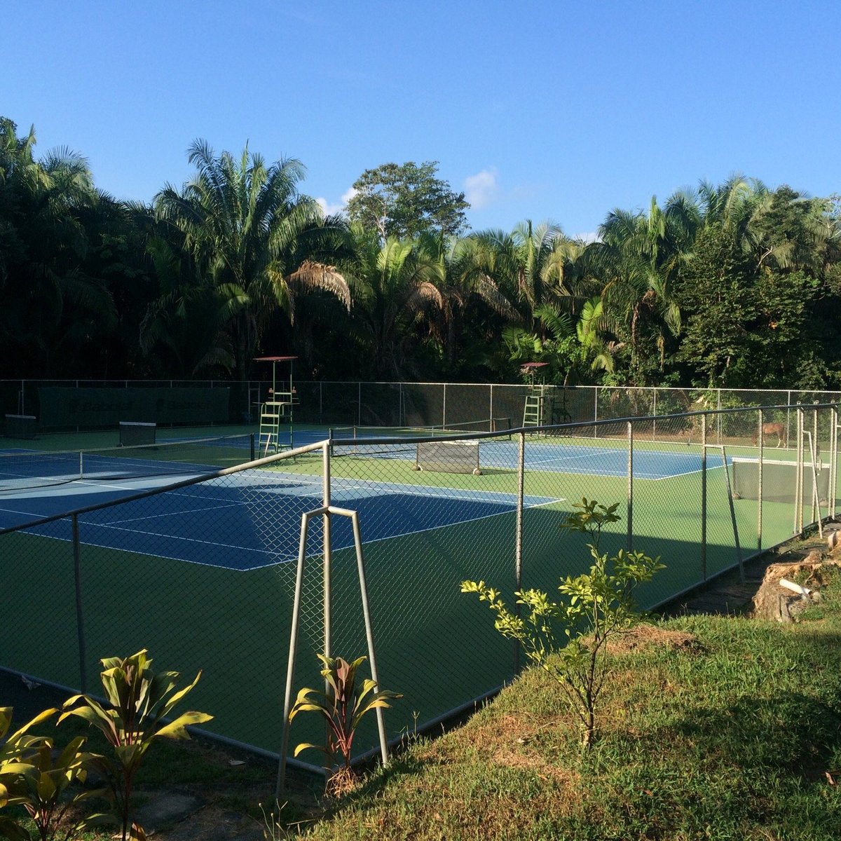 Tennis Club Quepos - Lo que se debe saber antes de viajar - Tripadvisor