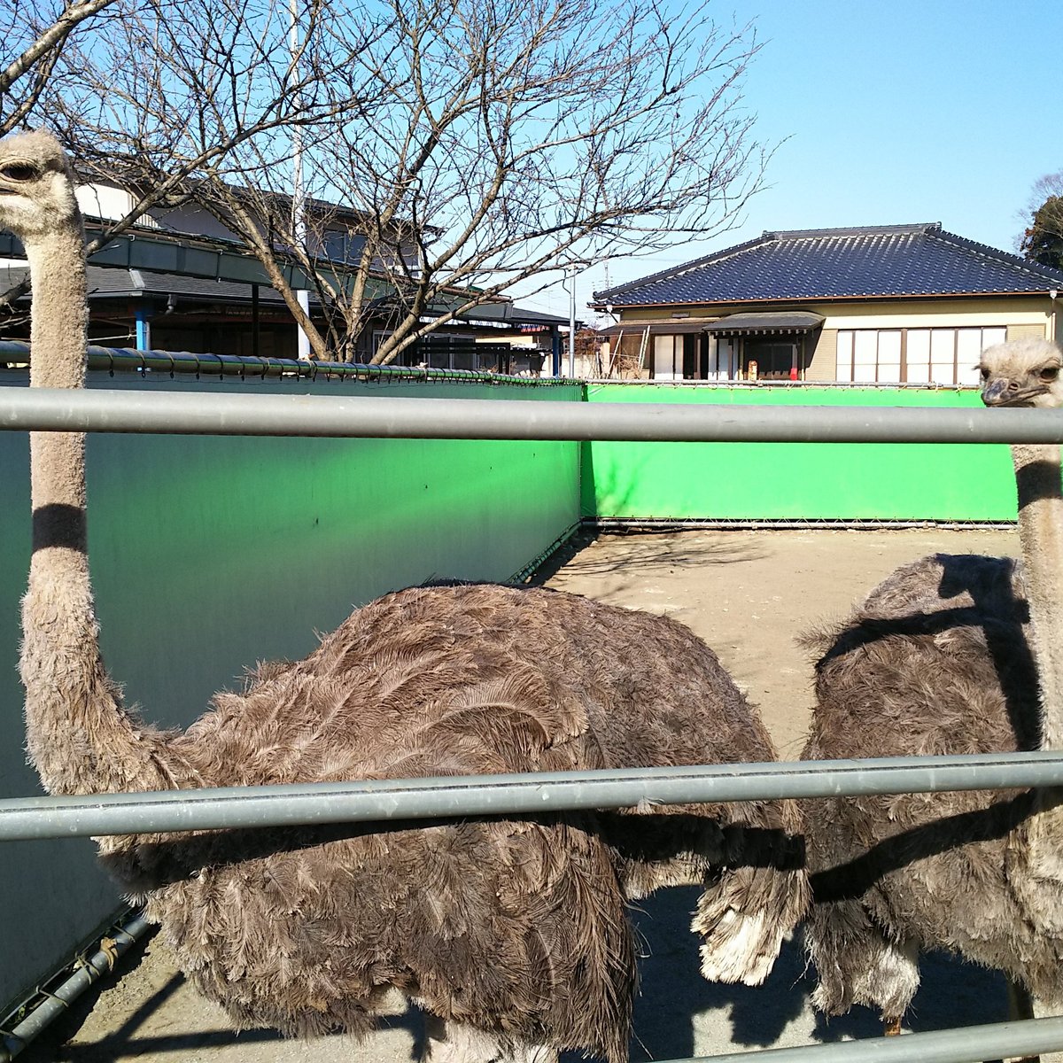 22年 真岡観光リス村 行く前に 見どころをチェック トリップアドバイザー