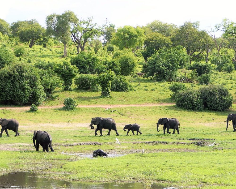 THE 15 BEST Things to Do in Maun - 2022 (with PHOTOS) - Tripadvisor