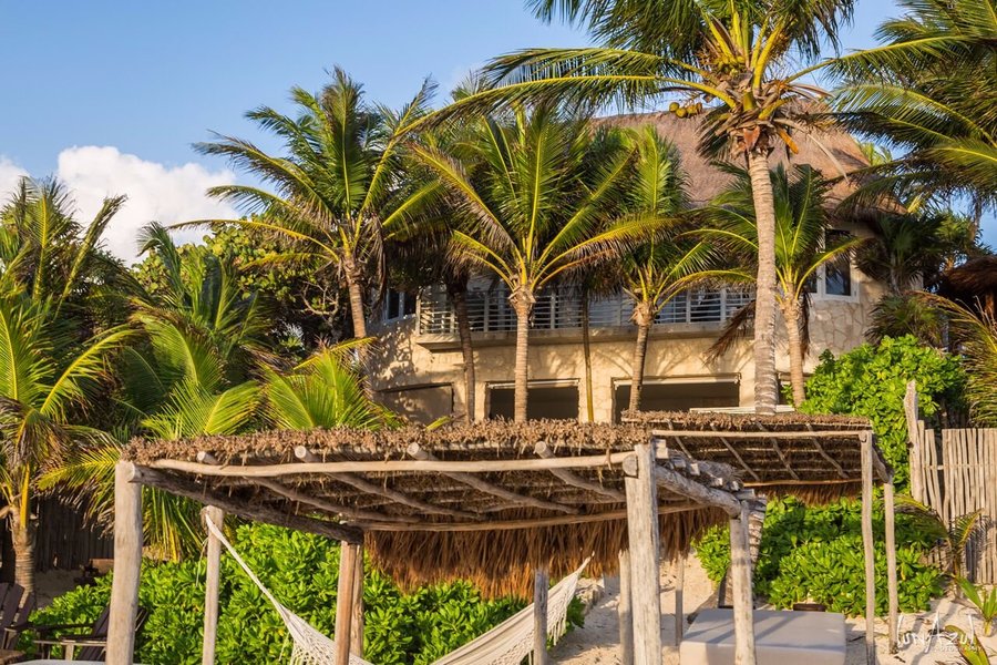 beachfront at nest tulum